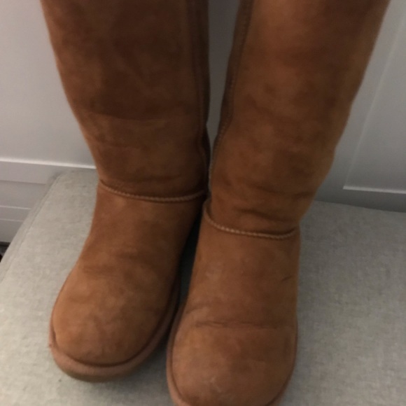 UGG Shoes - Tall Classic Chestnut Uggs